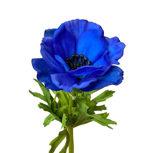 Real touch Anemone Dark Blue