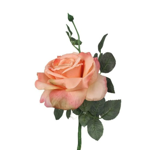 Large Open Rose S5714-SAL