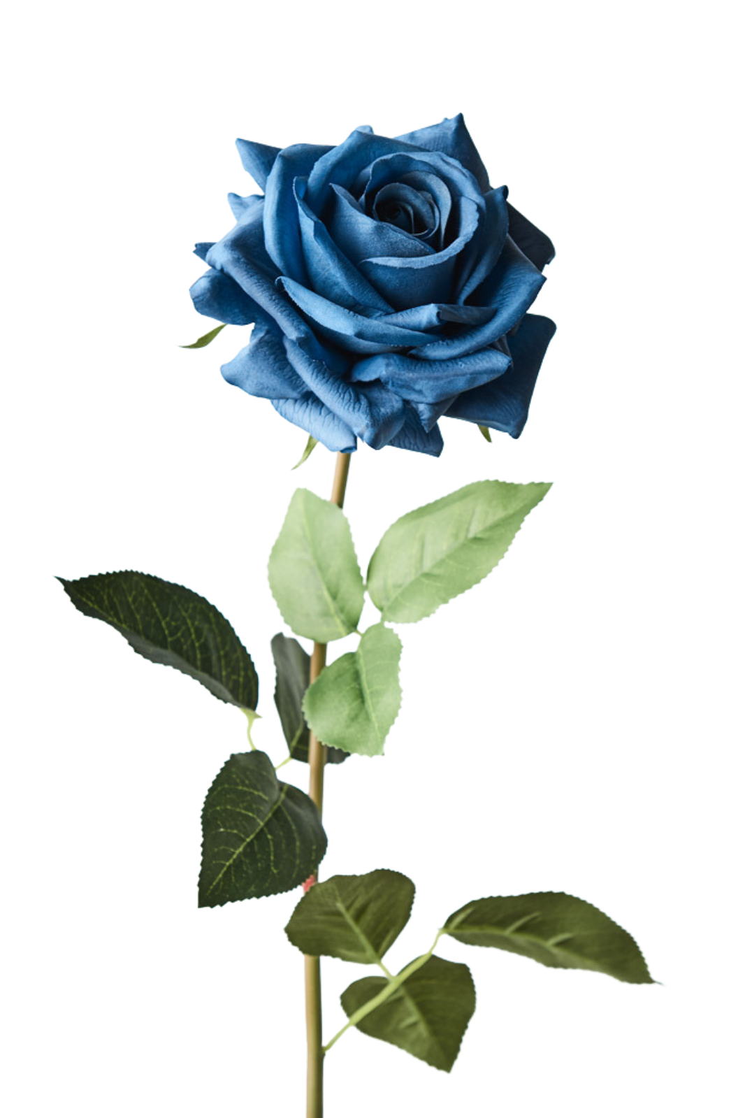 Real Touch Rose FB0078NB