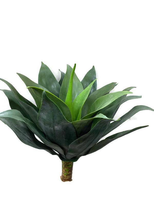 Large Agave Bush GF80019L