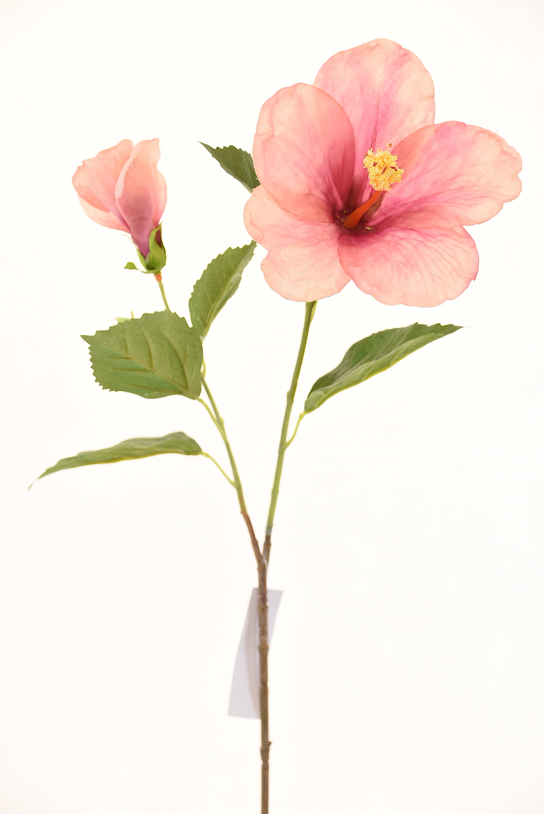 Pink Hibiscus L18566PK HJ