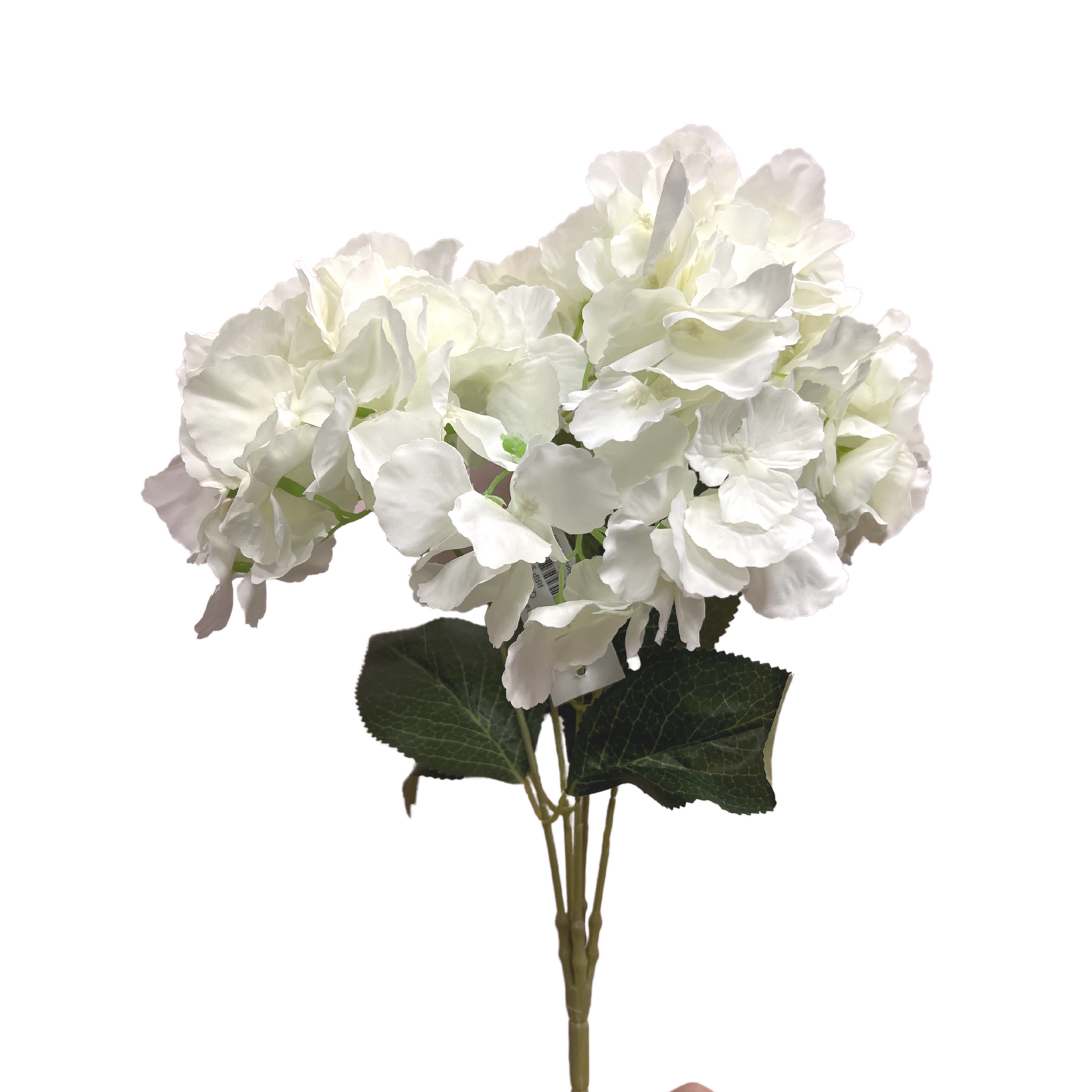 Hydrangea Bunch QD0010-WH