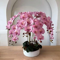 Oriental Beauty SF176-LIL-XXL