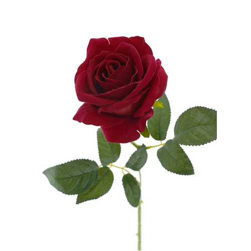 Single Velvet Rose 1716-BUR