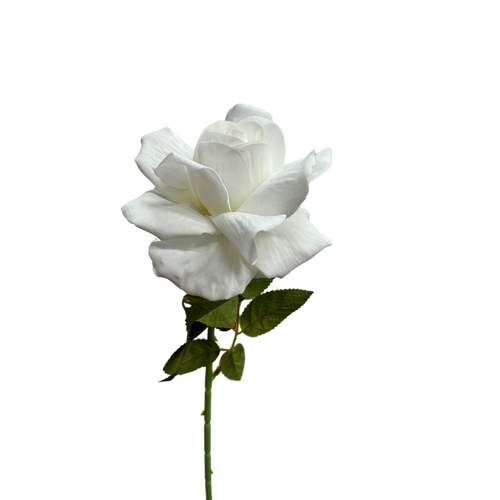 Single Velvet Rose 1716-IVY