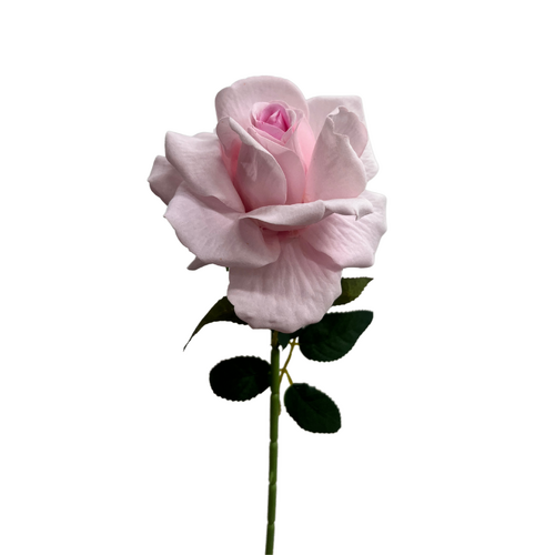 Single Velvet Rose 1716-LPNK