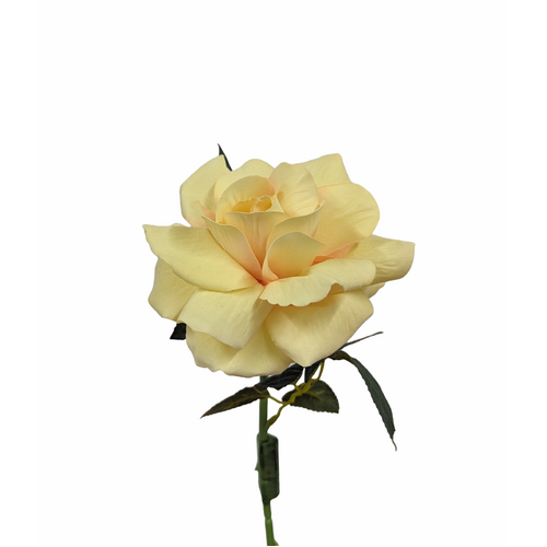Single Velvet Rose 1716-LYEL