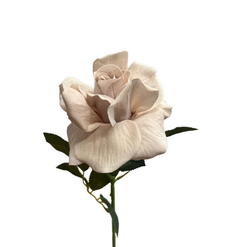 Single Velvet Rose 1716 P-NUDE