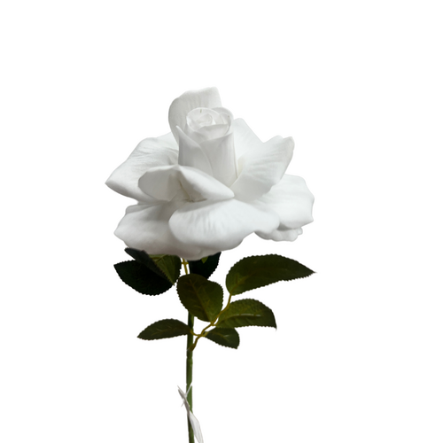 Single Velvet Rose 1716-WHITE