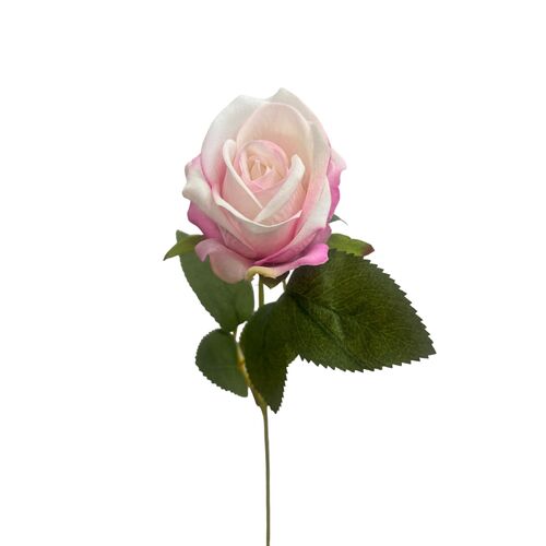 Mini Single Velvet Rose 1717W-PNK