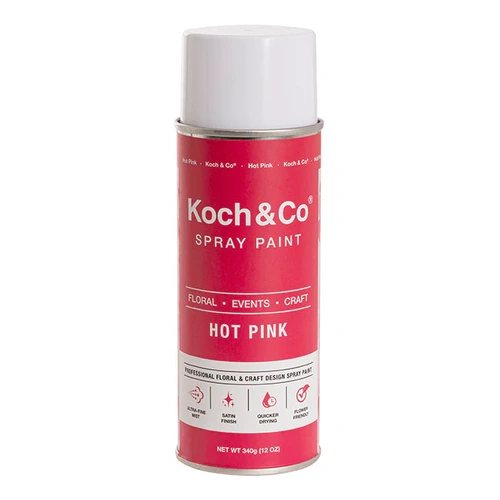 Floral Event Craft Spray Paint Hot Pink (340g) 2302003