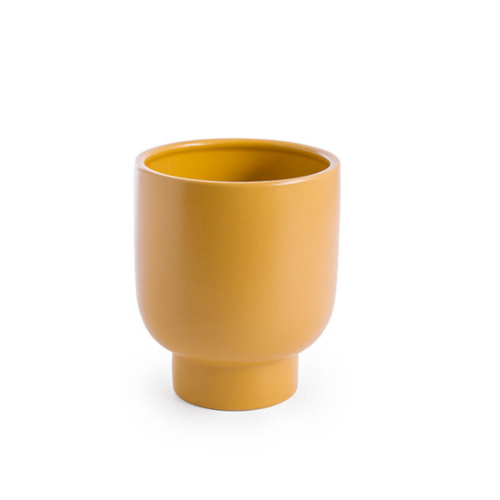 Compote Mango 461122YE
