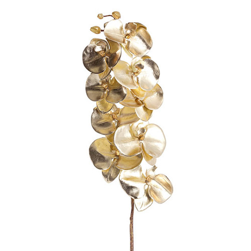 Gold Orchid 470020CHGO