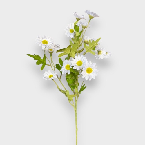 Daisy Spray 4711701WH