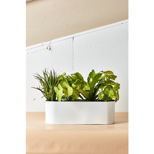 MEDIUM LOVE BOAT VESSEL WHITE FVP