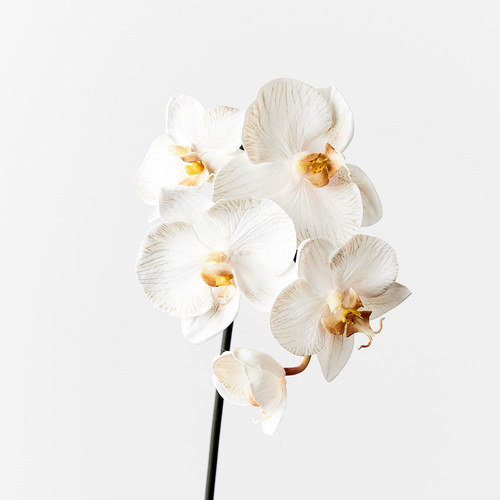 Luxe Mini Real Touch Orchid 8508DV