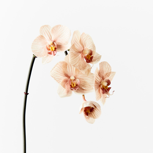 Luxe Mini Real Touch Orchid 8508MH