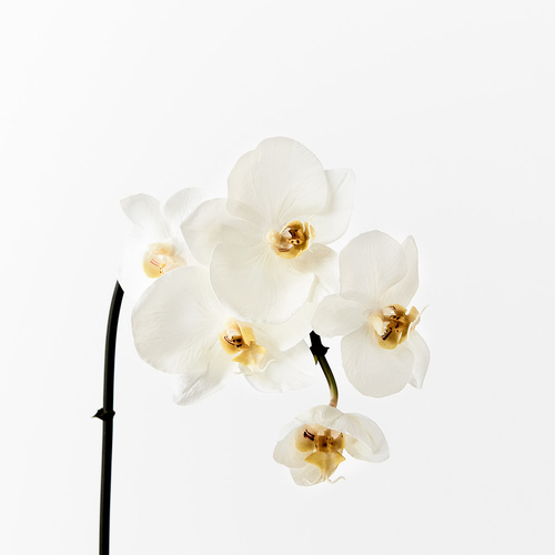 Luxe Mini Real Touch Orchid 8508WH