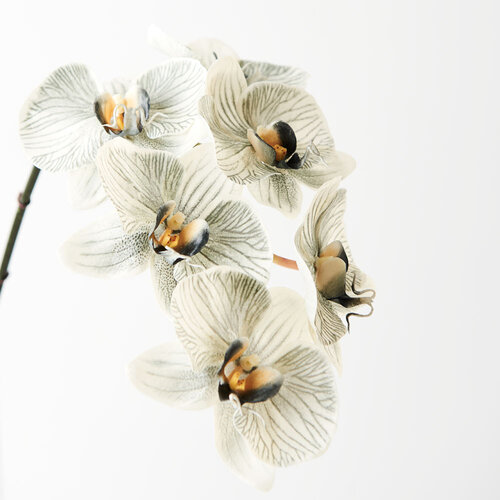 Luxe Orchid 8509GY