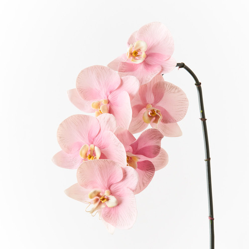 Luxe Orchid 8509PK