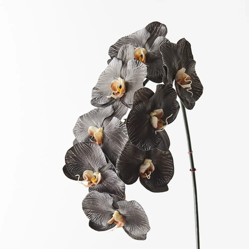 Luxe Phalaenopsis Orchid 8510BKWH