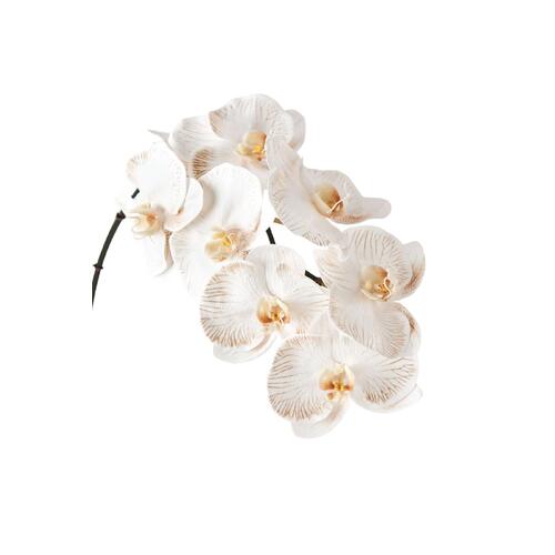 Luxe Orchid Phalaenopsis 8510DV