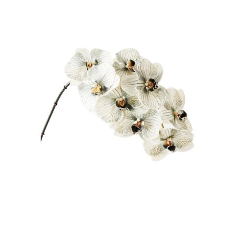Luxe Phalaenopsis Orchid 8510GY