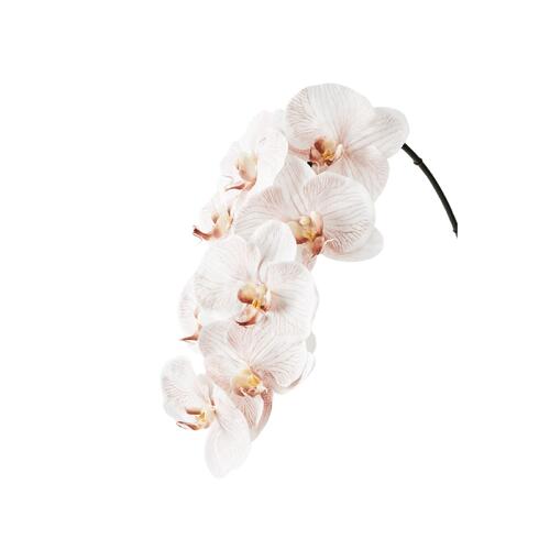Luxe Orchid Phalaenopsis 8510LA