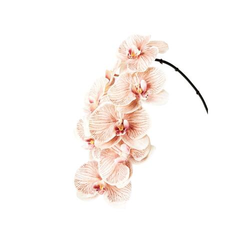 Luxe Phalaenopsis Orchid 8510MH