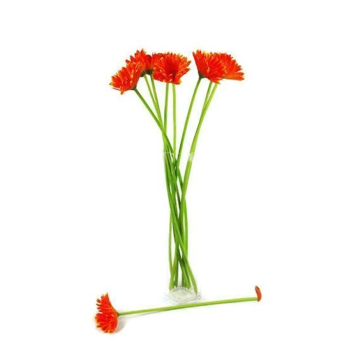 Single Gerbera A2003-OR