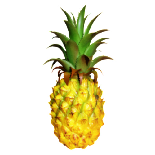 Real Touch Pineapple A3009