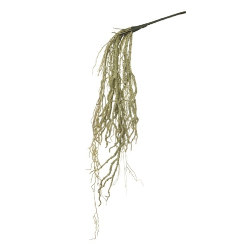 Orchids Roots AB001-GREY