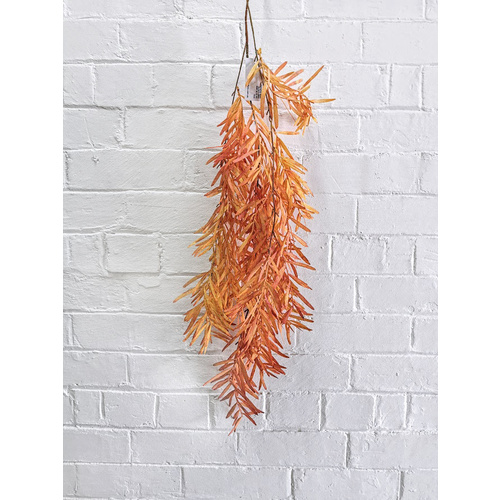Hanging Bush AL001-ORG