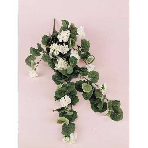 Geranium hanging Bush AL013-WHT