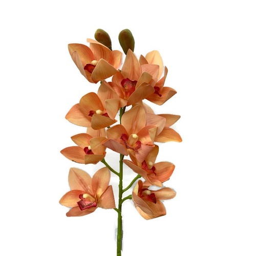 Cymbidium Orchid Spray AL015-LORG