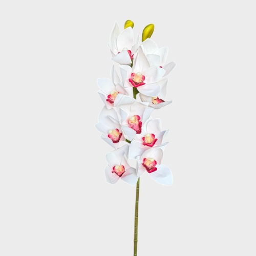 Cymbidium Orchid Spray AL015-WHT