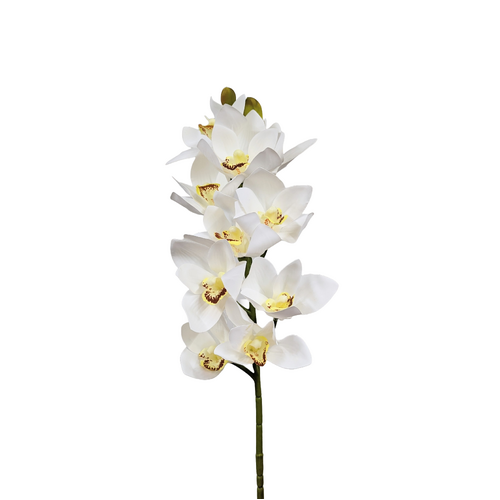 Cymbidium Orchid Spray AL015-WHT