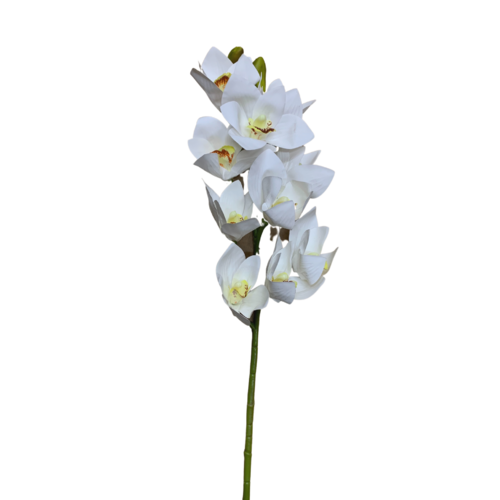Cymbidium Orchid Spray AL015-WHT
