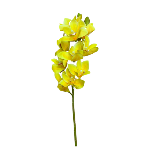 Cymbidium Orchid Spray AL015-YEL