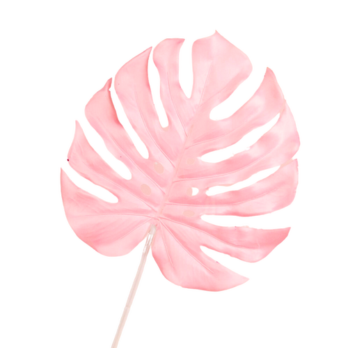 Monstera leaf AL024-PNK