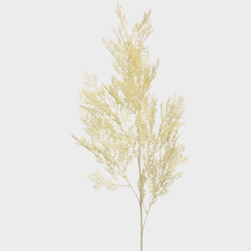 Fern Spray AL025-CRM