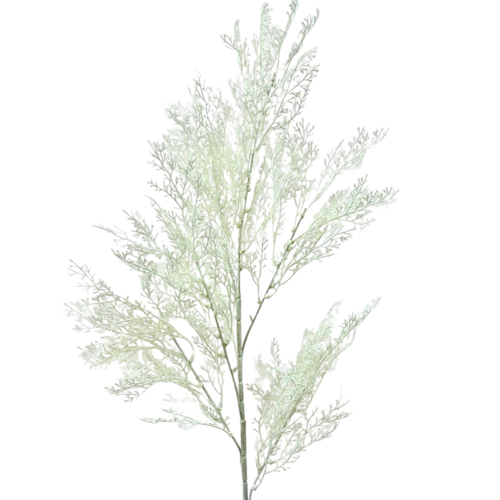 Fern Spray AL025-CRM