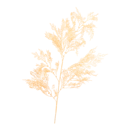Fern Spray AL025-PCH