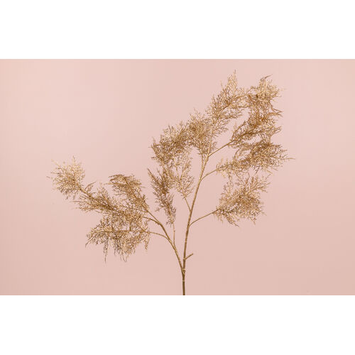 Fern Spray - Gold AL026-GLD