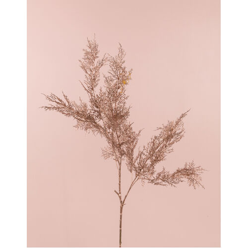 Fern Spray - Rose/Pink Gold AL026-RGLD