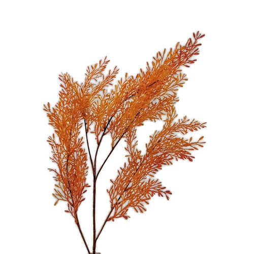 Fern Spray AL027-ORG