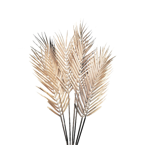 Palm Leaves Bunch Gold AL028-GLD