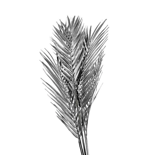 Palm Leaves Bunch AL028 SIL