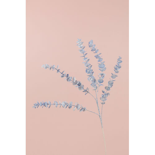 Eucalyptus Spray AL029-BLUE
