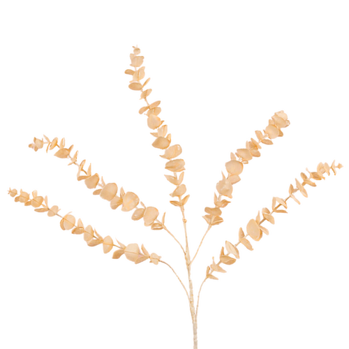 Eucalyptus Spray AL029-CR